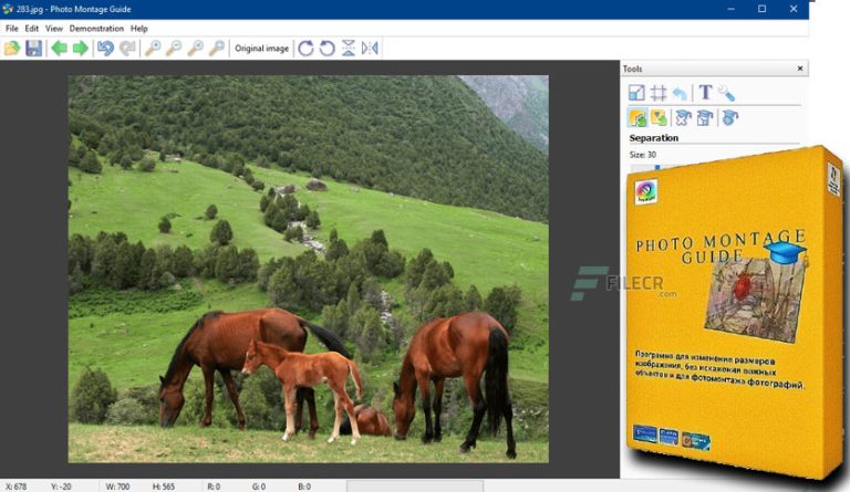 Tintguide Photo Montage Guide 2.2.12 Full Activated Version 2024
